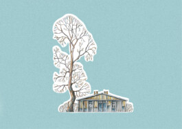 Anastasiia Stiekhina