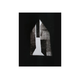 Anastasiia Stiekhina